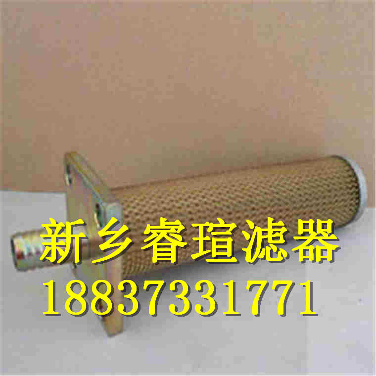 PI1301DNSMX25濾芯