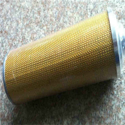 AX1E101-01D10V/-W動(dòng)力油濾芯